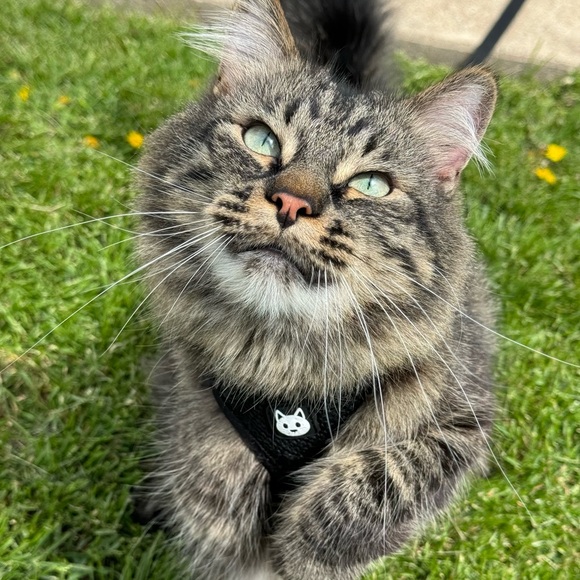 🙏🏽 THANK YOU 🙏🏽 - Picture 9 of 15